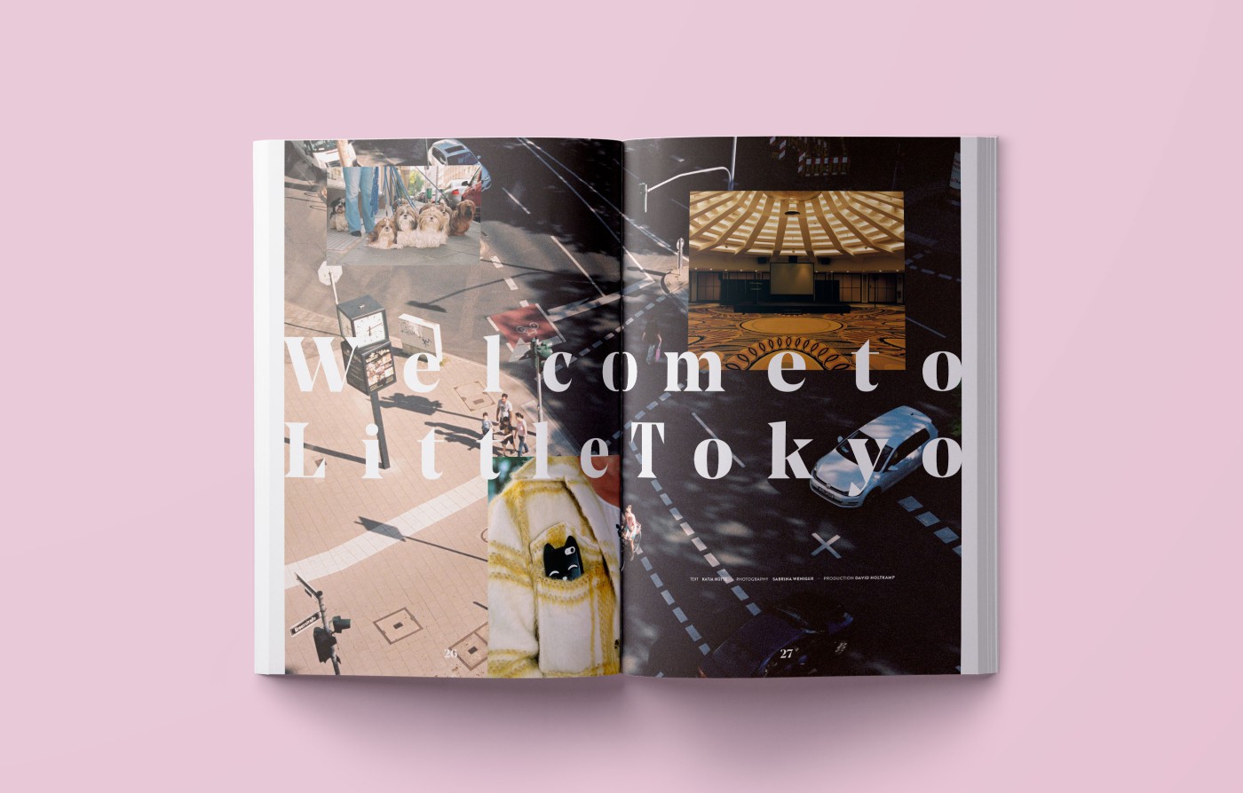 Slider verschiedener Doppelseiten Mockups - Einblick in THE DORF THE MAG 4 und 5 auf rosa Hintergrund